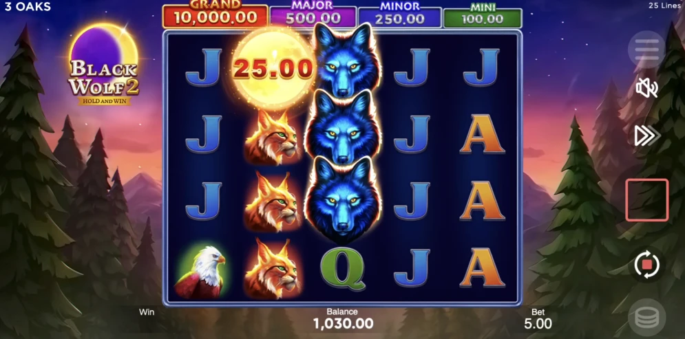 Black Wolf Slot